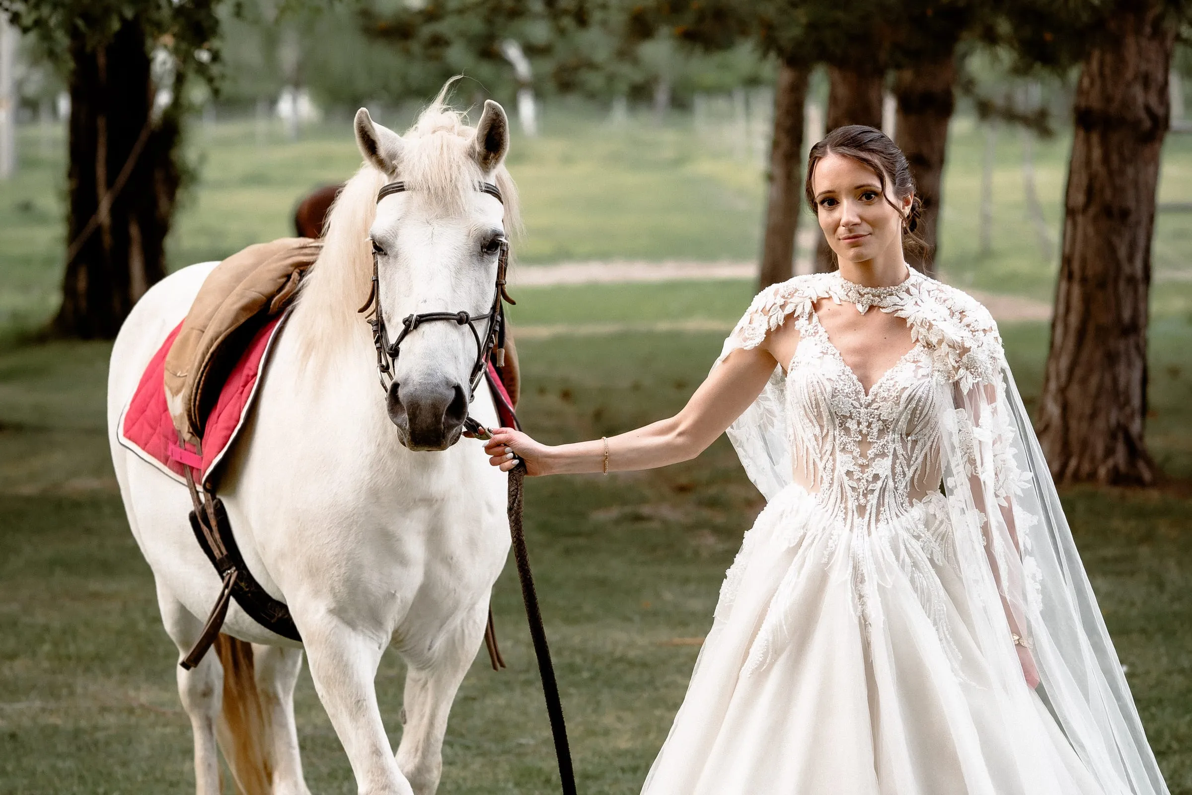 Bride with a white horse in the park