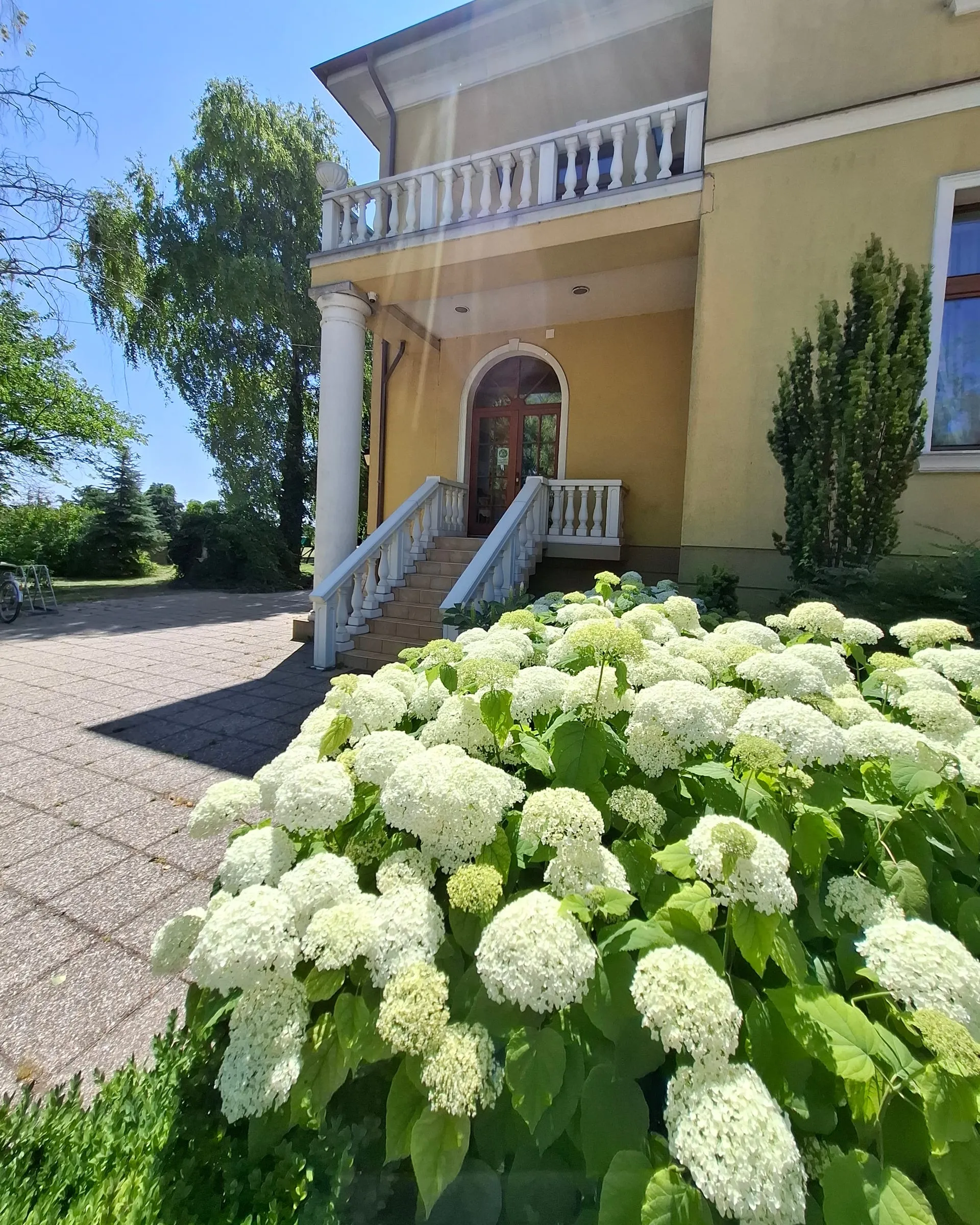 Vstupní schodiště panského sídla s bílými hortenziemi