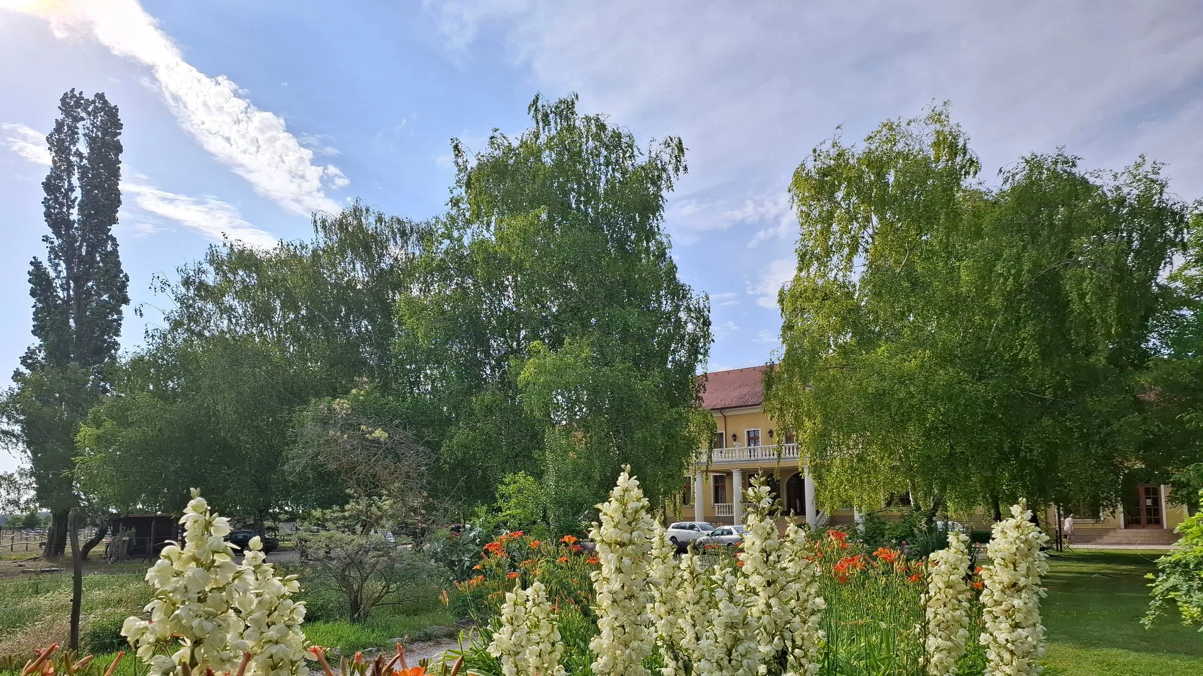 Letní park Plauter Kúria za slunečného dne