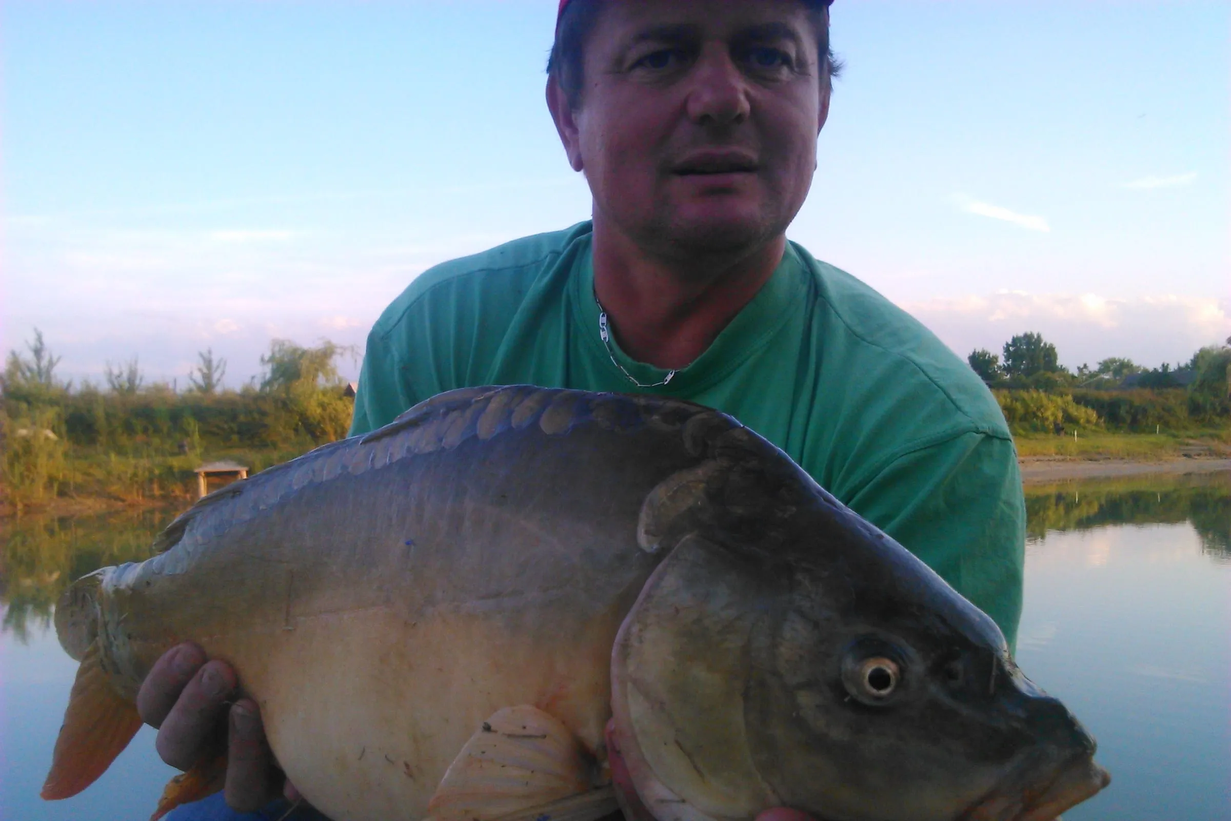 Carp caught in the estate lake